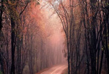 开云体育官方网站-狂人一战成名：逆转比分的传奇之路