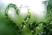 开云官网-巴列卡斯咆哮！莱加内斯用钢铁防线与草皮魔法铸就地狱主场