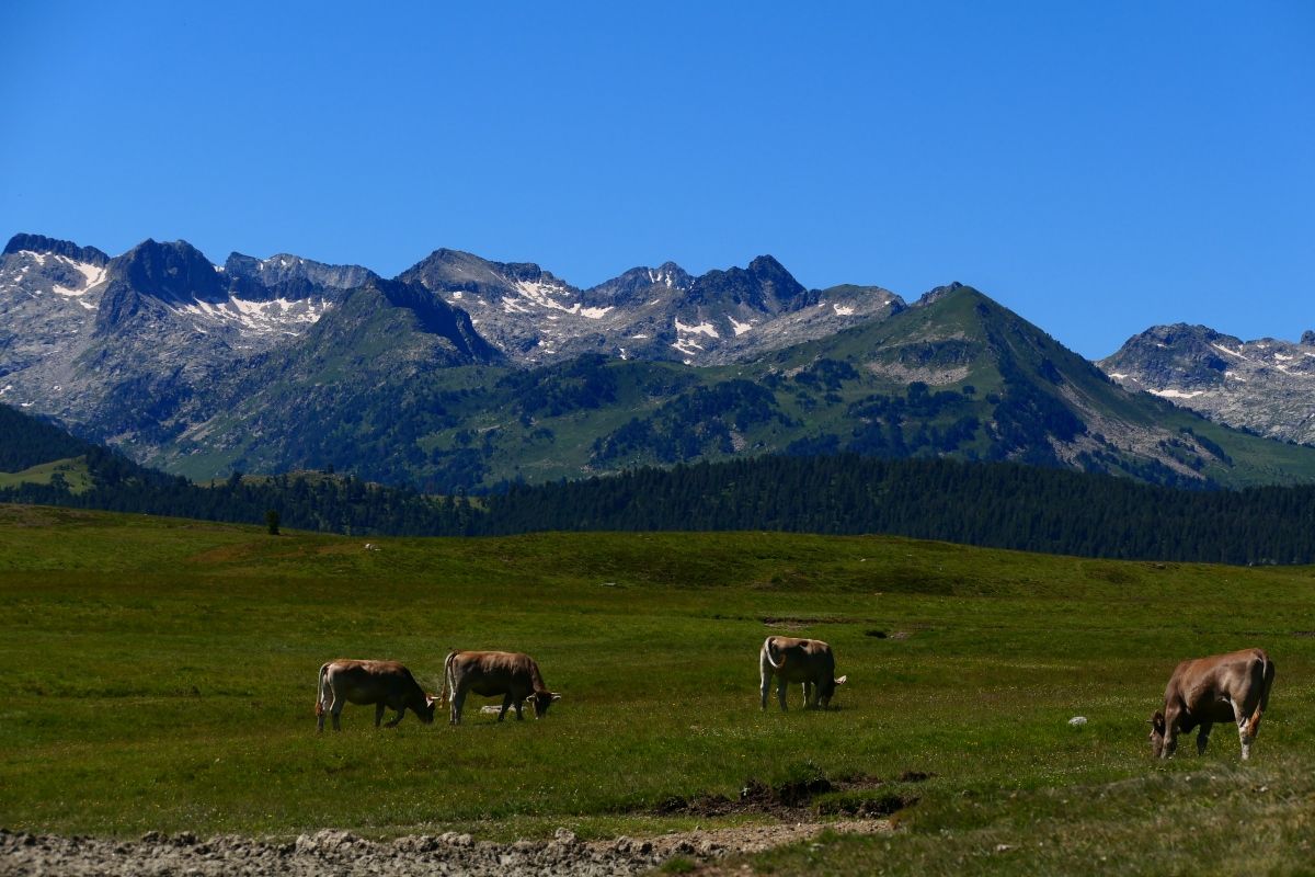 包含乌克兰梦幻体现,后防支柱力保让球少失的词条 包含乌克兰梦幻体现,后防支柱力保让球少失的词条