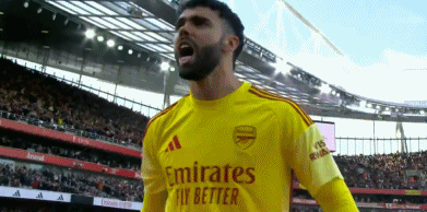 开云平台-包含阿森纳-战胜维罗纳提前锁定小组第一的词条