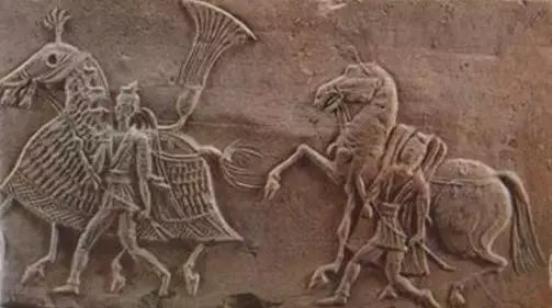 烤鸭队员痛失冠军,兵败如山倒的简单介绍 烤鸭队员痛失冠军,兵败如山倒的简单介绍