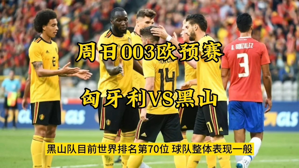 开云体育官网-匈牙利不敌荷兰，无缘欧预赛下一阶段