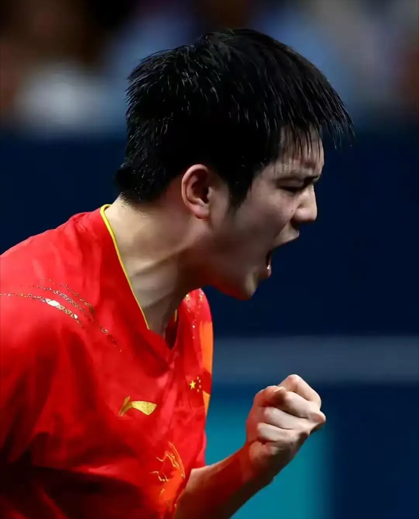 法国乒乓球队血洗瑞典乒乓球队，樊振东打破历史纪录的简单介绍