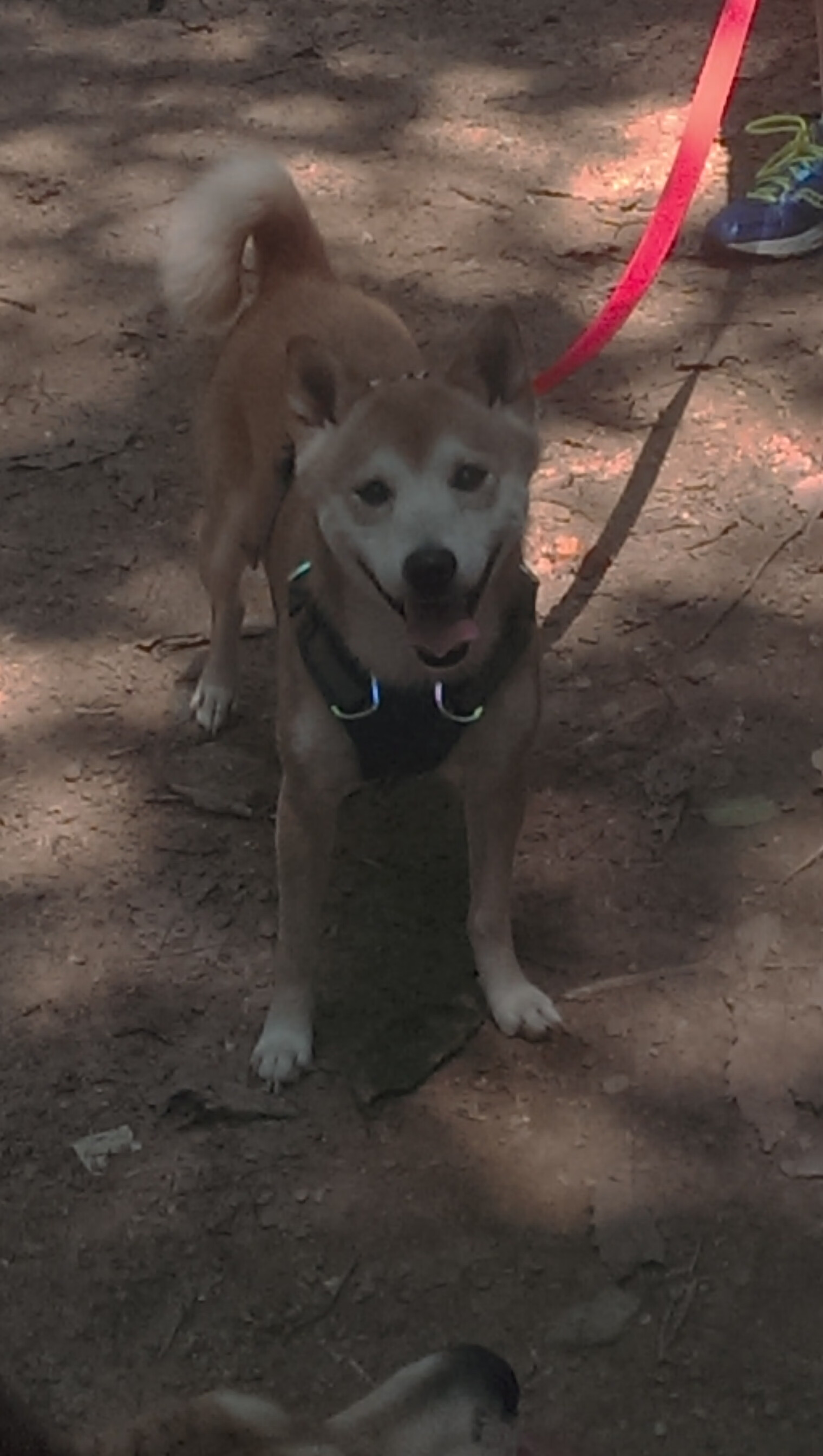 马里一锤定音震惊蓝军,阿什拉夫闪电战击溃拜仁—两位外来者如何改写了英德争冠版图