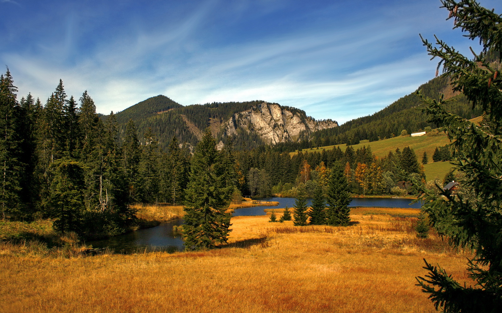 当扬尼斯化身时间领主，雄鹿绿军肉搏战中，莫兰特的数据幽灵正在降临