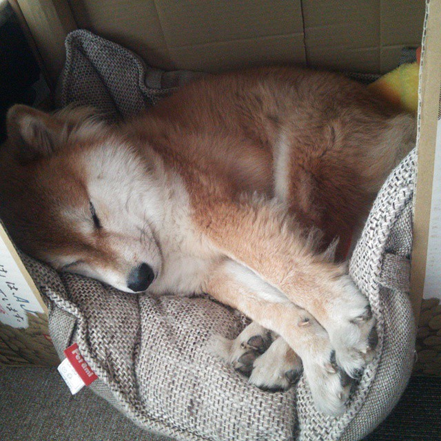 开云体育登录-莫兰特惊艳四座，浙江队打穿太阳，跨越重洋的篮球启示录