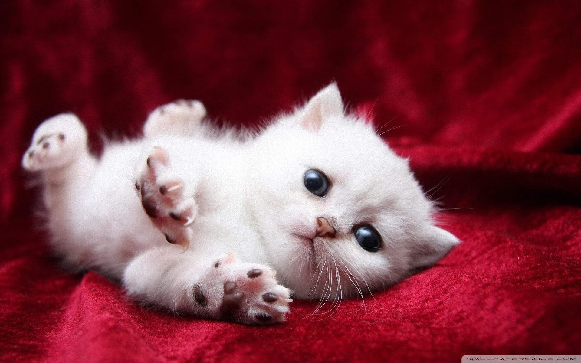 布雷默一锤定音!国际米兰鏖战贝蒂斯拿下关键胜利