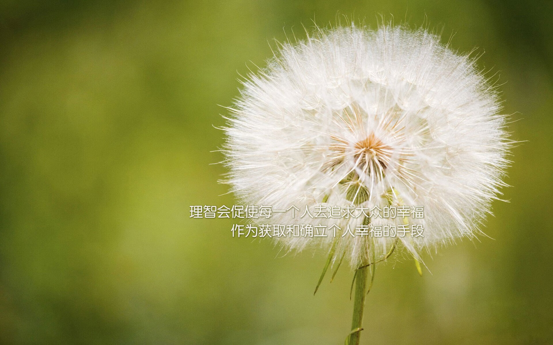 空间的胜利，从德里赫特的钢铁防线到雷恩的战术牢笼