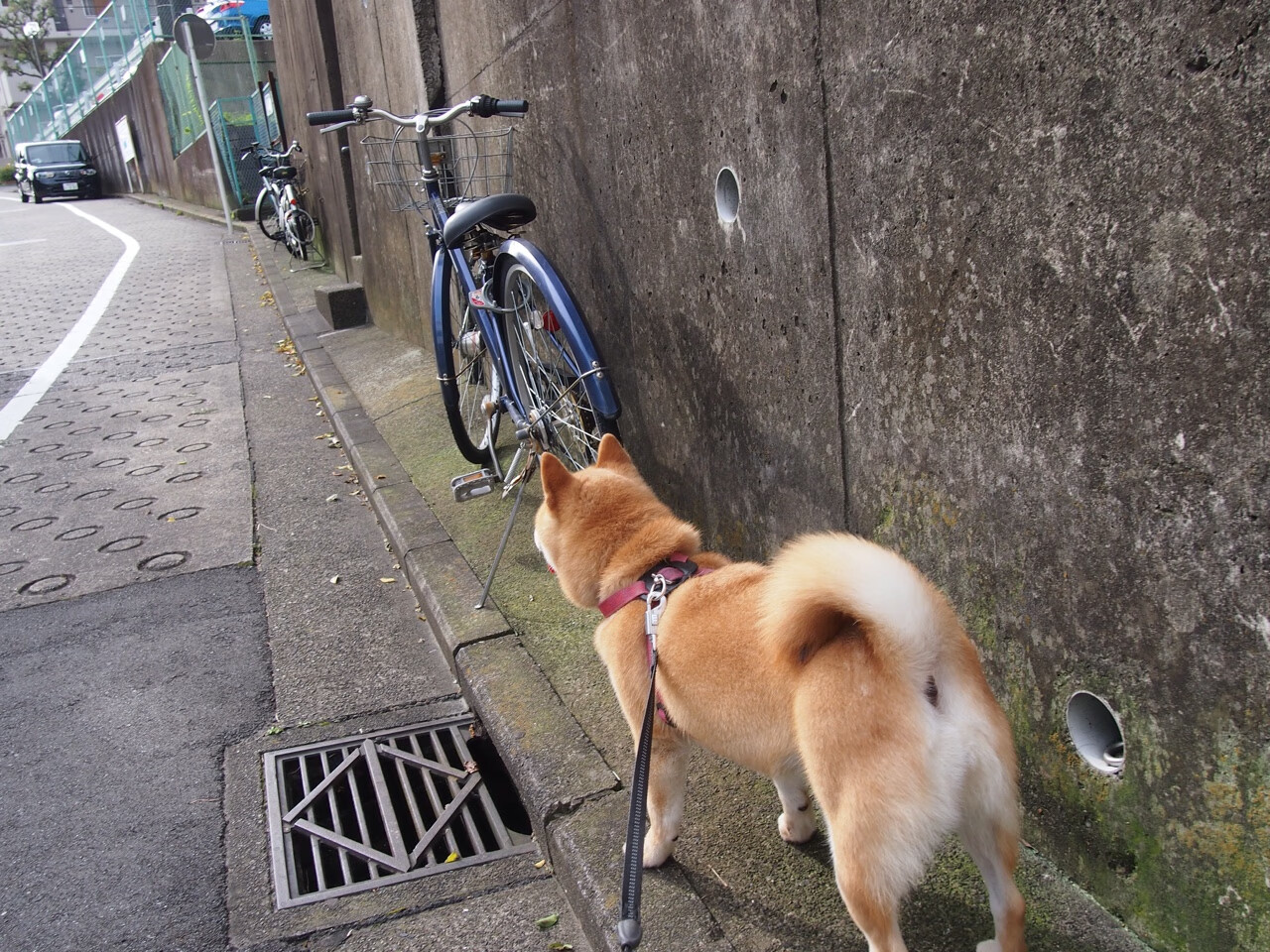 土耳其冰雹浇灭红魔火焰!阿森纳旧将马丁内利成终极刺客