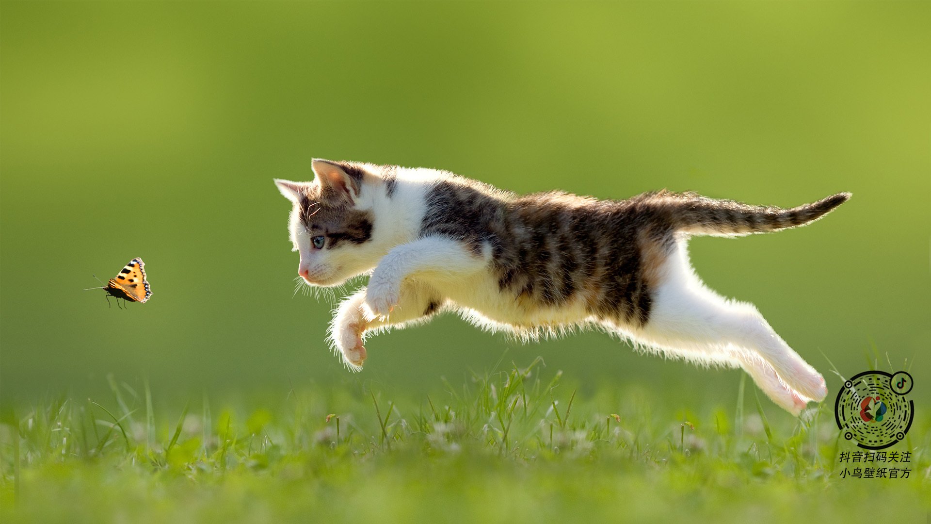 开云APP-杜兰特证明自我，灰熊与马刺激战中的王者归来