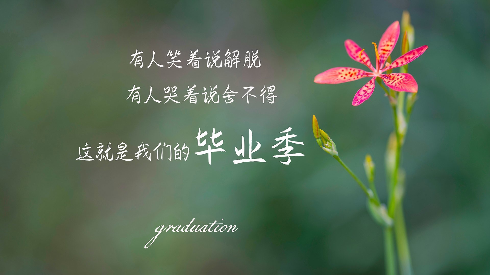 开云体育入口-有些战士为大战而生，德甲争冠夜的硝烟与浓眉的大舞台