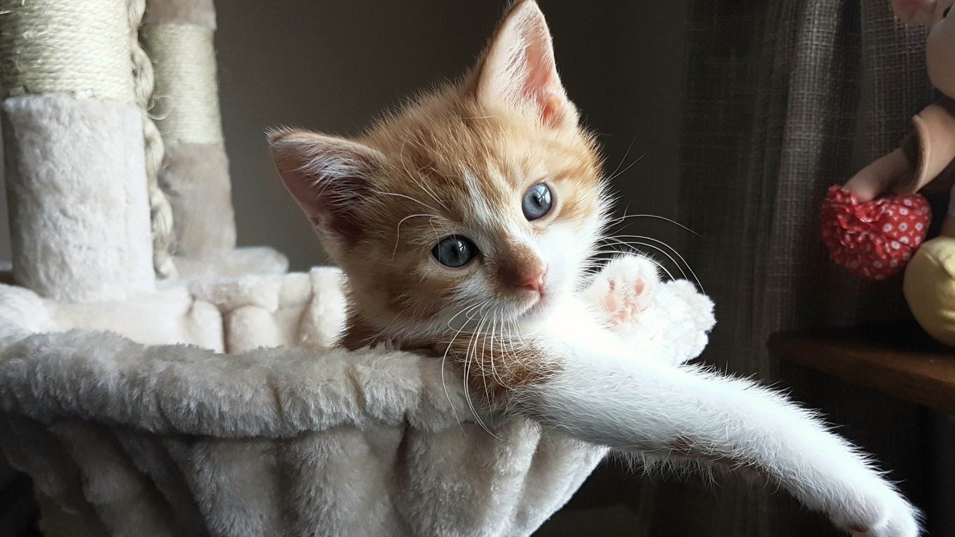 开云体育官网-控卫新神话！拉梅洛稳定输出不掉线，公牛关键战突围开拓者