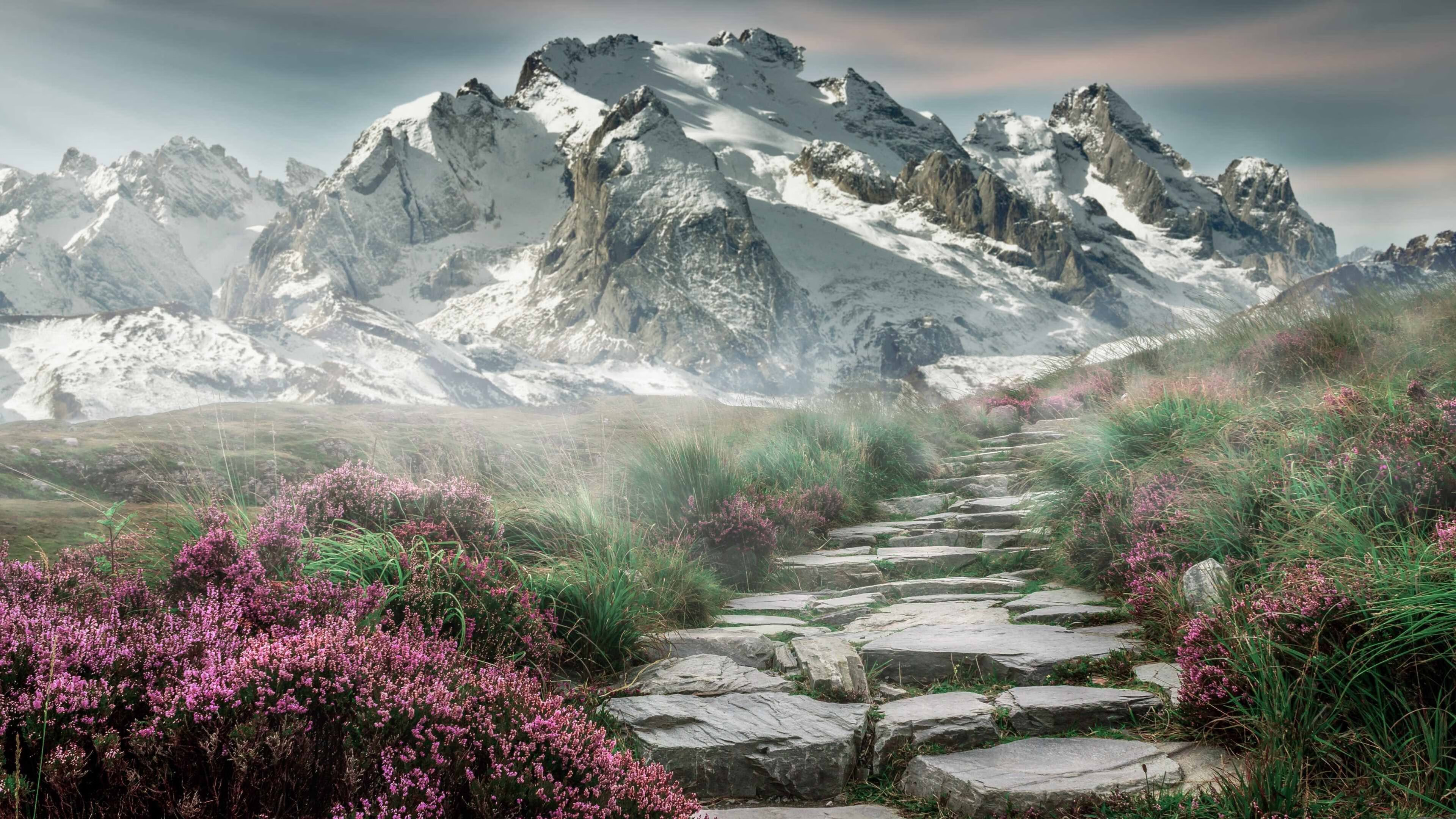 跨界巨兽，当锡安与周琦在赛道和赛场双重奏凯