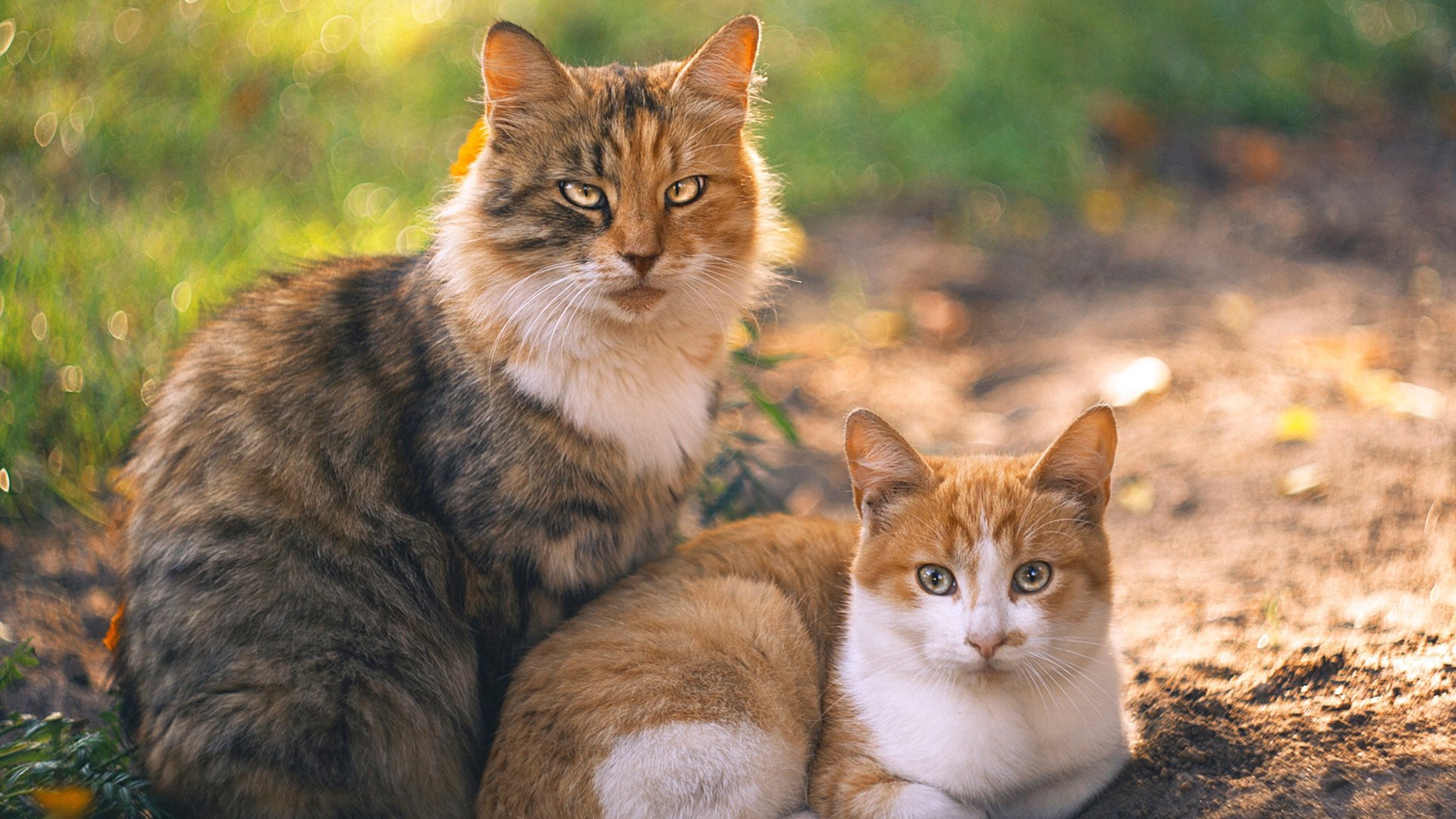 一剑封喉!伊萨克关键时刻拯救英格兰,绝杀比利亚雷亚尔