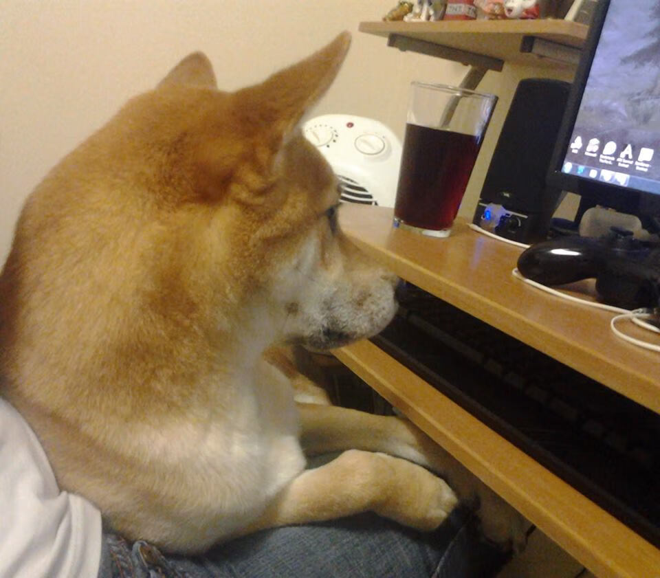 阿圭罗闪耀，巴拉圭苦战力克卡塔尔，南美劲旅展现实力