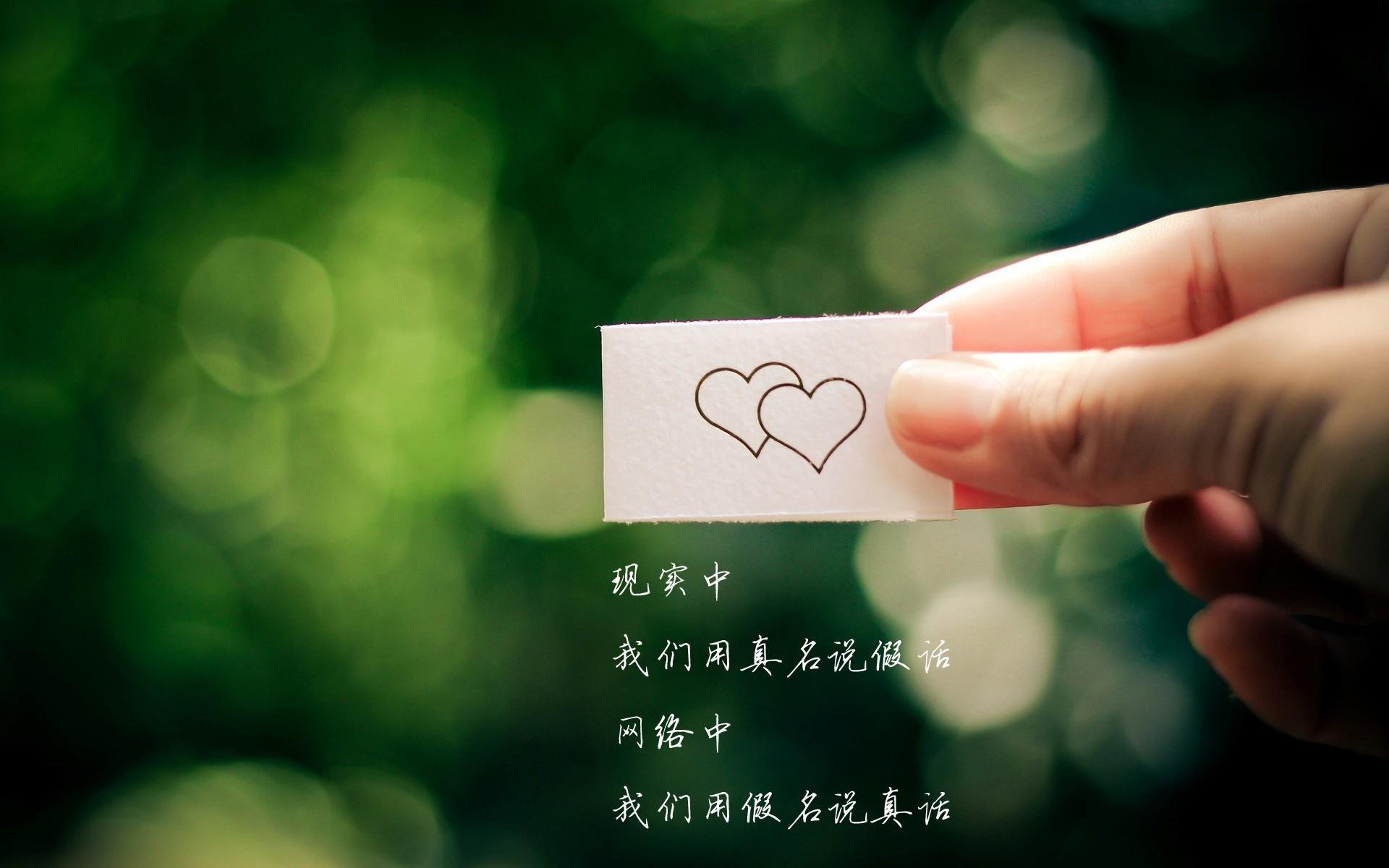 开云体育在线-广厦队逆境突围太阳，范弗利特世界杯独挑大梁