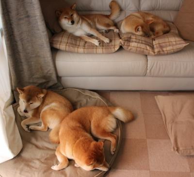 开云体育官网-老鹰撕裂苍穹击溃凡人舰队，杰伦·格林，一个无解的多维进攻命题