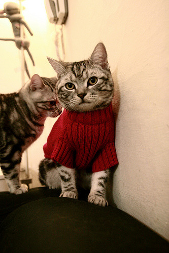 沉寂雄狮的觉醒，阿坎吉一锤定音，那不勒斯末节风暴逆转三狮