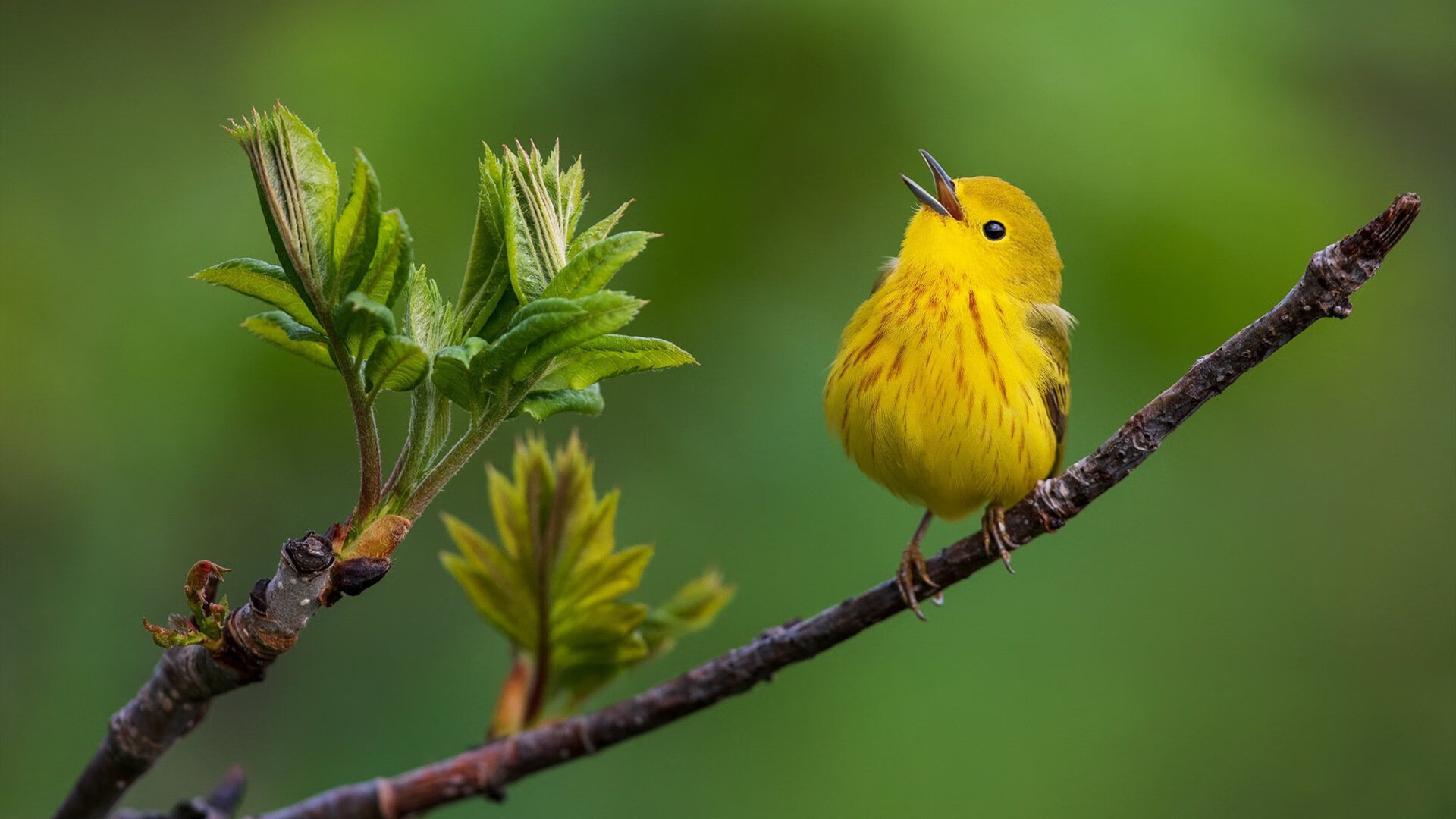 地狱之门到天堂之光，巴斯托尼在欧冠之夜完成自我救赎